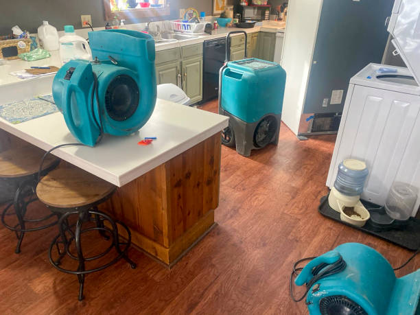 Best 24-hour water damage restoration  in Taylorsville, MS