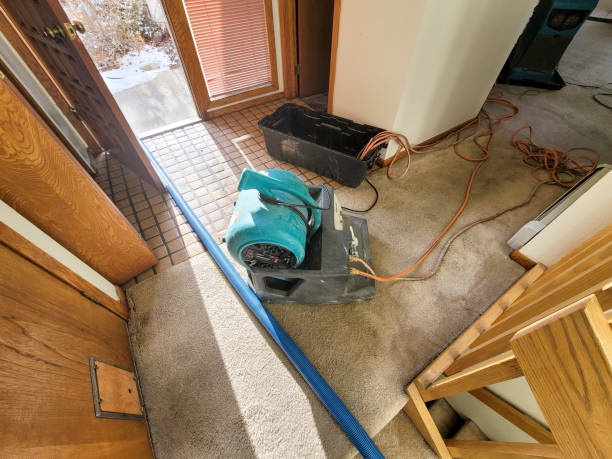 Best Local water damage restoration  in Taylorsville, MS