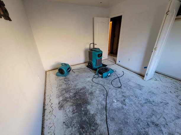 Best Mold removal after water damage  in Taylorsville, MS