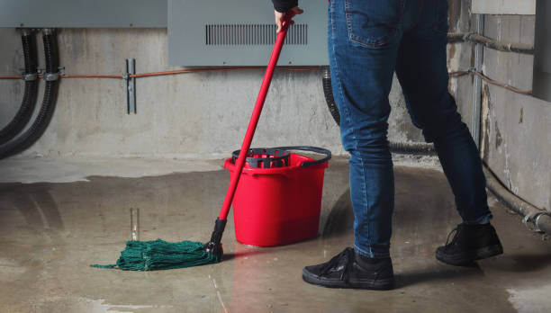 Best Ceiling water damage repair  in Taylorsville, MS