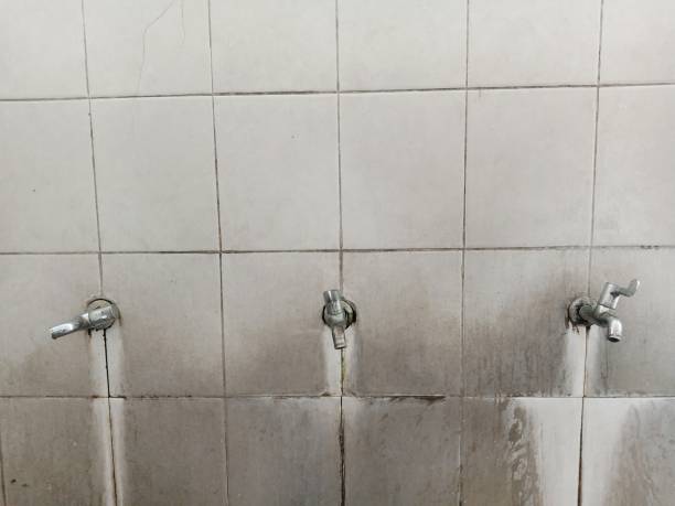 Best Mold removal after water damage  in Taylorsville, MS