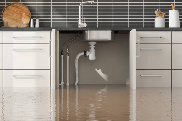 Best Carpet water damage restoration  in Taylorsville, MS