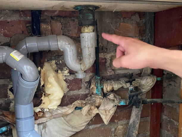 Best Water damage restoration specialists  in Taylorsville, MS